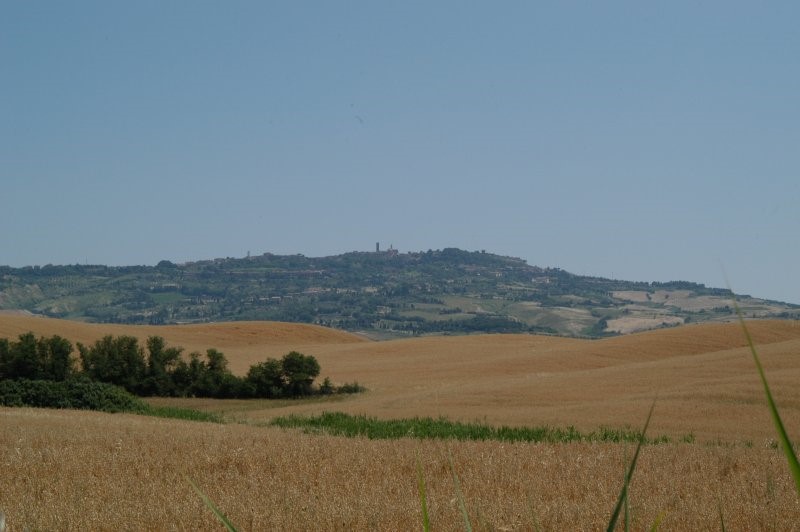 BIBBONA CAMPAGNA